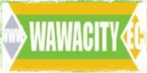 wawacity telechargement direct ddl 2021